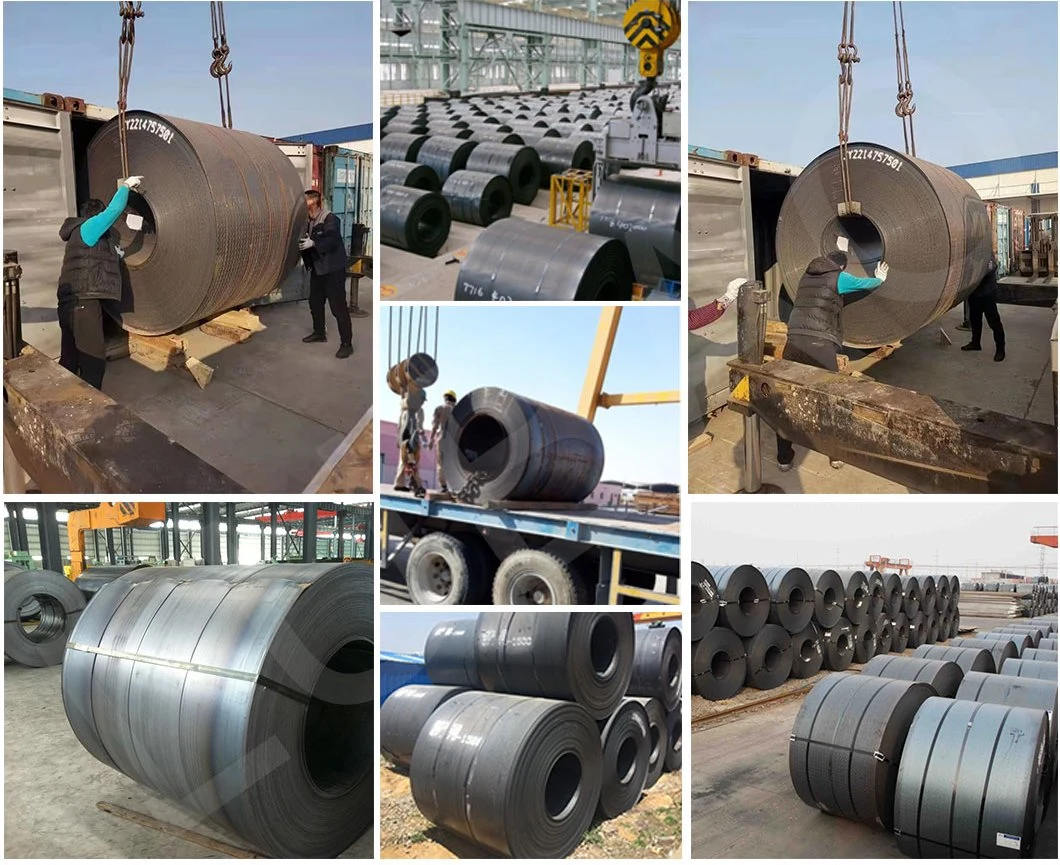 Hot Rolled Thick Steel Sheets Coil Price 4X8 Prime Hot Rolled Carbon Coil Steel Plate Supplier